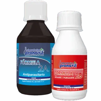 Kit de Limpieza Fórmula Nº2 Renovación Natural para tu Salud Intestinal