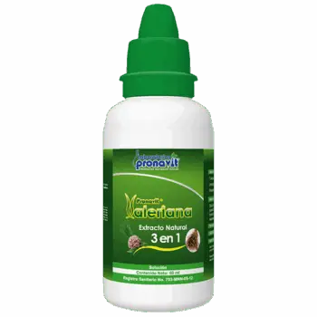 Valeriana Tu Esencia Natural para el Descanso y la Calma Profunda